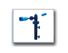 Plants: image 1 0f 4 thumb