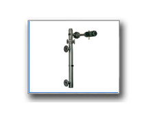 Plants: image 1 0f 4 thumb