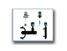 Plants: image 1 0f 4 thumb